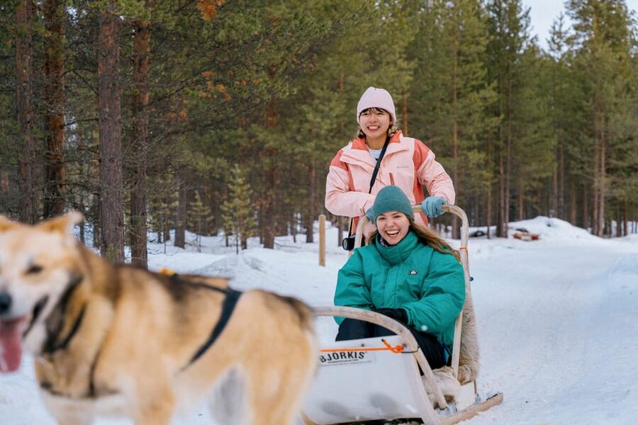 Saariselkä: 10KM Husky Safari with kennel visit - Key points to know before booking