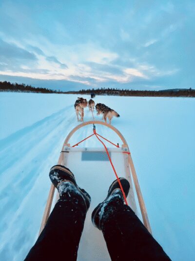 10KM Husky Safari with kennel visit