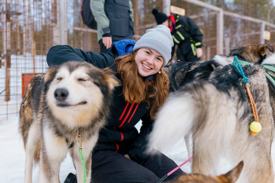 Saariselkä: 10KM Husky Safari with kennel visit - What the 10 km husky route feels like