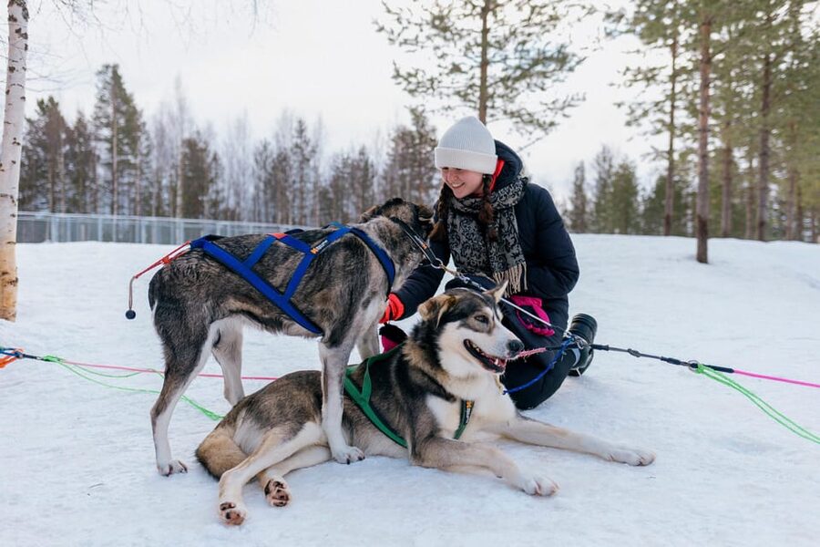 Saariselkä: 10KM Husky Safari with kennel visit - Meeting the dogs at the small kennel