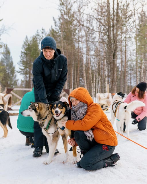 Saariselkä: 10KM Husky Safari with kennel visit - Who should book this Saariselkä safari
