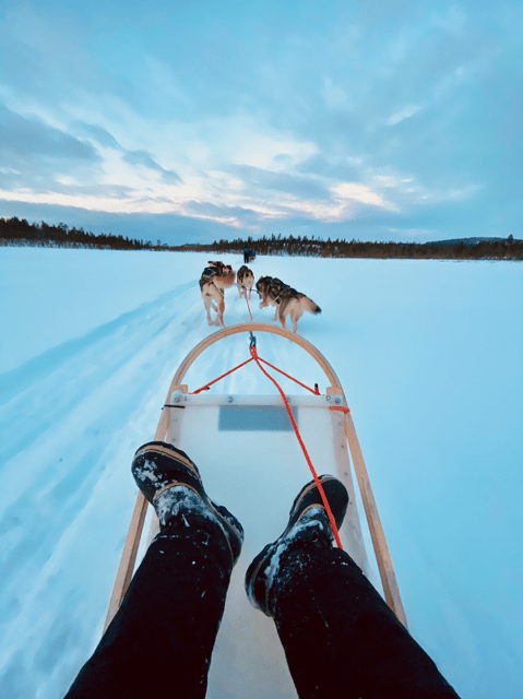 Saariselkä: 10KM Husky Safari with kennel visit - The journey from Saariselkä to Veskoniemi
