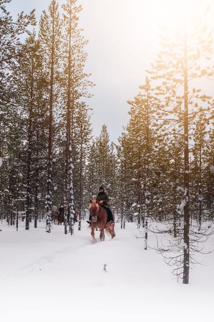 Saariselkä: Arctic Trail Horse Riding Tour - Meeting the Finnish horses at Polaris Point