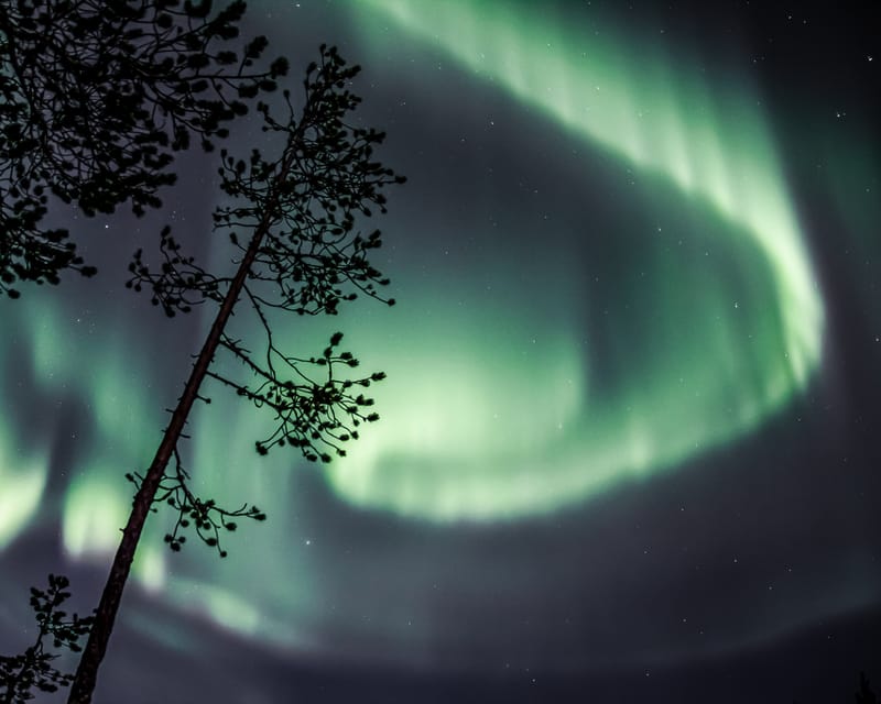 Saariselkä: Aurora Photo Tour by Car with Transfer & Drinks - Should you book it?
