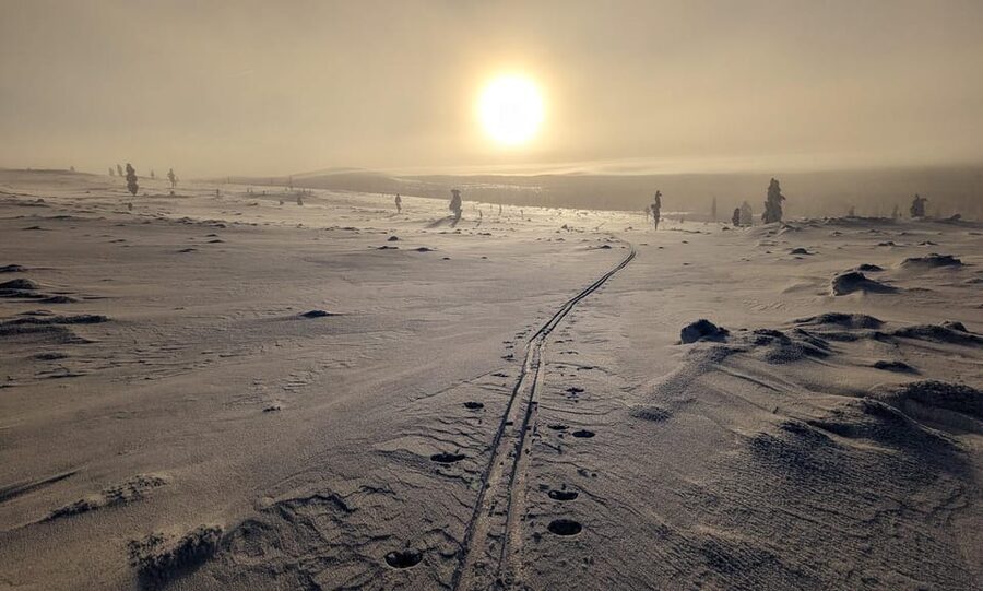 Saariselkä: Back-Country Skiing Guided Tour - Key points to know before booking