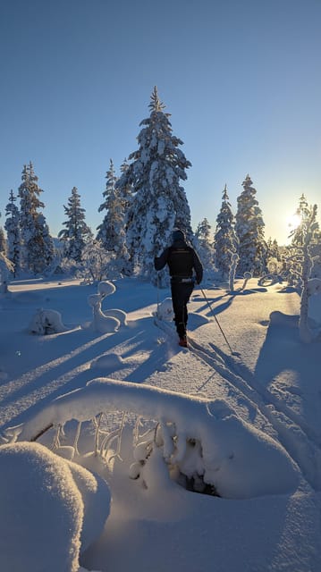 Saariselkä: Back-Country Skiing Guided Tour - Following a route through forests and fells