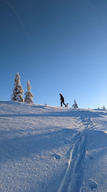 Saariselkä: Back-Country Skiing Guided Tour - The warm drink break matters more than it sounds