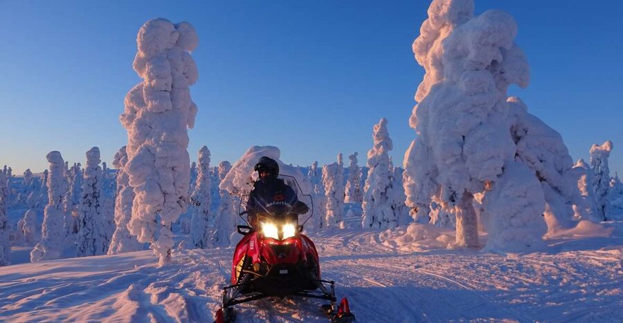Saariselkä: Evening Snowmobile Tour with Fire & picnic - Key points to know before booking