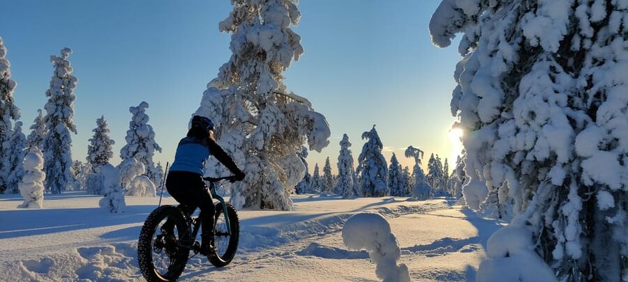 Saariselkä: Guided Fatbike Tour - Key points to know before you book