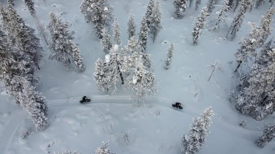Saariselkä: Guided Fatbike Tour - Riding into Saariselkä’s winter woods