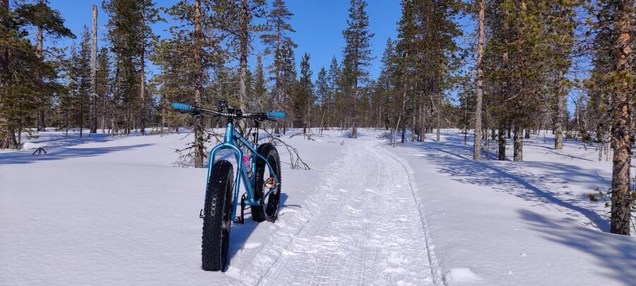 Saariselkä: Guided Fatbike Tour - A warm drink at the right moment