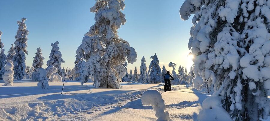 Saariselkä: Guided Fatbike Tour - Forest trails or fell routes