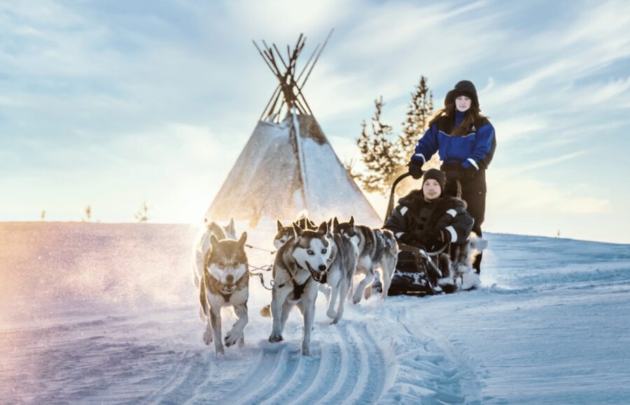 Saariselkä: Husky Safari with Aurora Borealis Hunt - Key points to know before booking