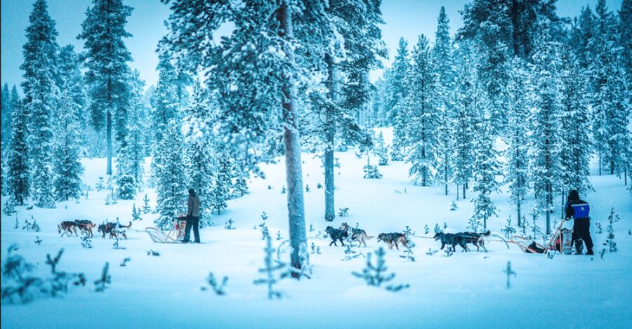 Saariselkä: Husky Safari with Aurora Borealis Hunt - Starting in Saariselkä with the right winter gear