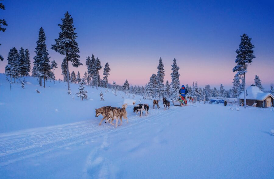 Saariselkä: Husky Safari with Aurora Borealis Hunt - Meeting the Siberian huskies and learning the sled