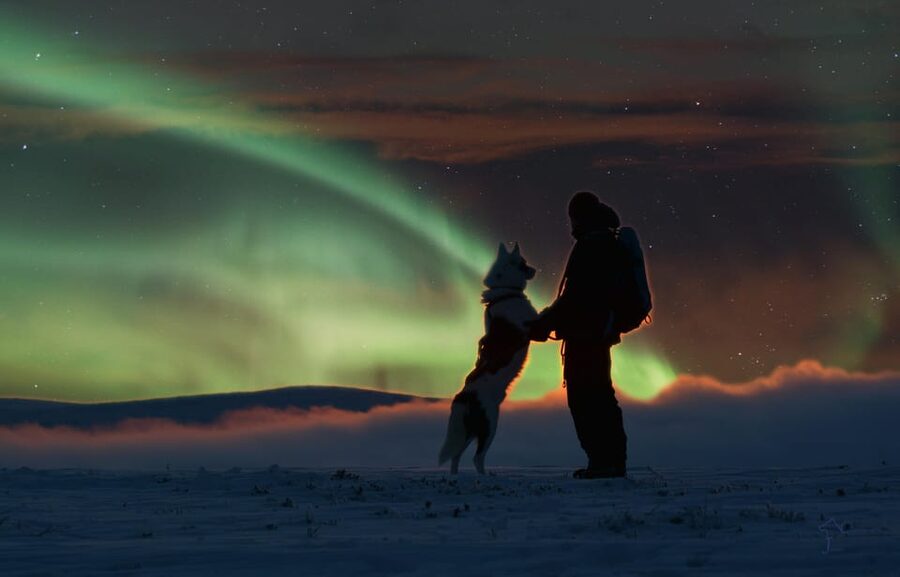 Saariselkä: Husky Safari with Aurora Borealis Hunt - The ride to the Wilderness Center