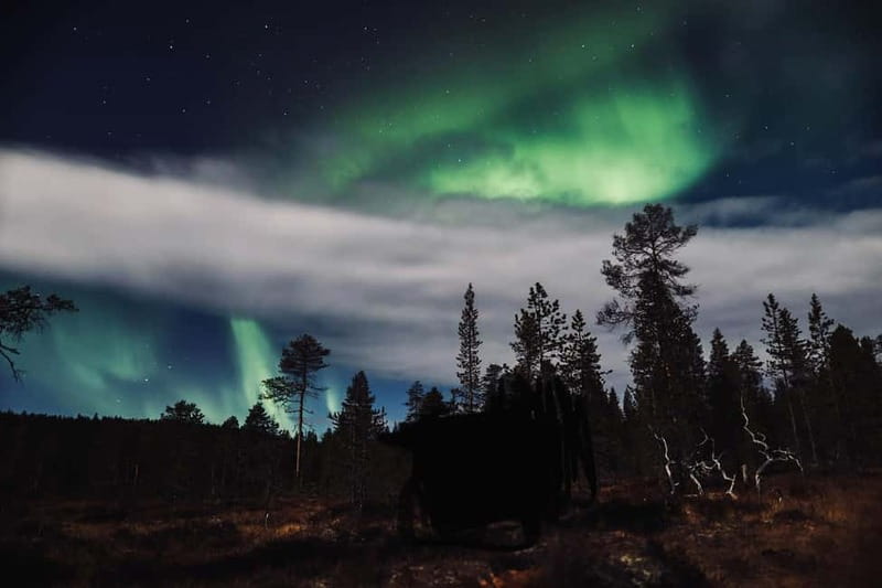 Saariselkä,Kakslauttanen: Aurora Hunting & Photography Tour. - The $154 Price and What You Receive