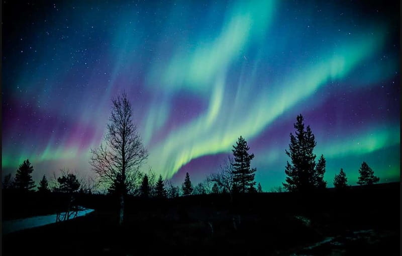 Saariselkä,Kakslauttanen: Aurora Hunting & Photography Tour. - Who Will Get the Most From This Tour