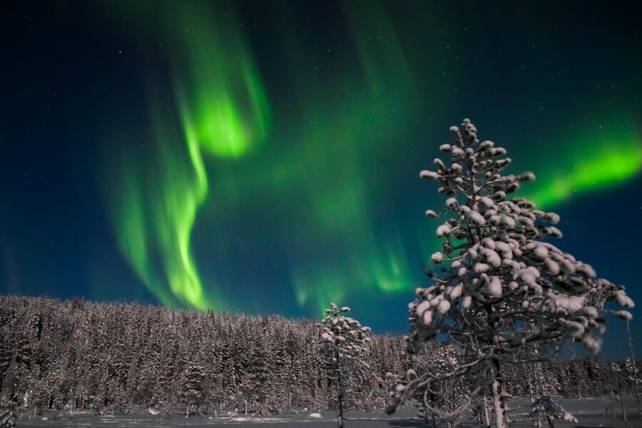 Saariselkä: Northern Lights Hunting Snowshoe Trip - Key points to know before booking