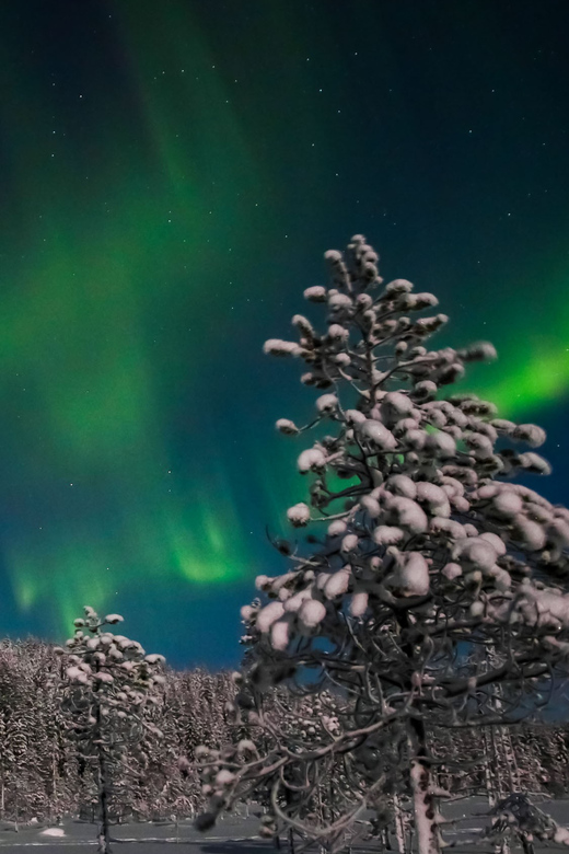 Saariselkä: Northern Lights Hunting Snowshoe Trip - Waiting for the northern lights