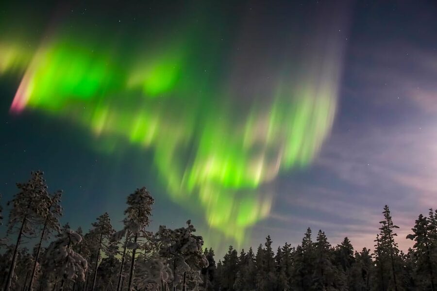 Saariselkä: Northern Lights Hunting Snowshoe Trip - Timing, pickup, and cancellation details