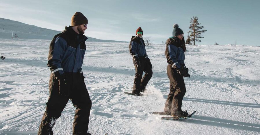 Saariselkä: Scenic Snowshoe Safari - Key points at a glance
