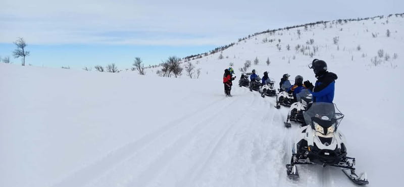 Saariselka: Snowmobile Safari on Tundra with BBQ - Booking, Timing, and Cancellation