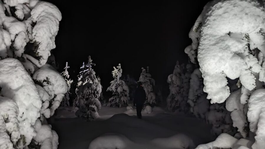 Saariselkä: Snowshoeing Tour in Urho Kekkonen National Park - Choosing a route through the snowy forest