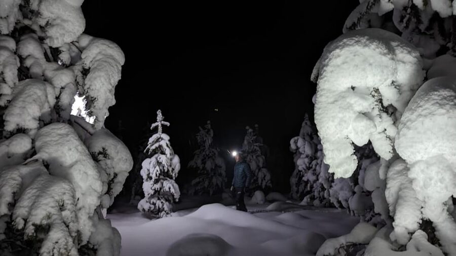 Saariselkä: Snowshoeing Tour in Urho Kekkonen National Park - The 2-hour, 4-hour, and evening choices
