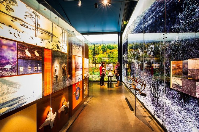 Sámi Village Inari and Siida Museum by Car - Key points to know before you go