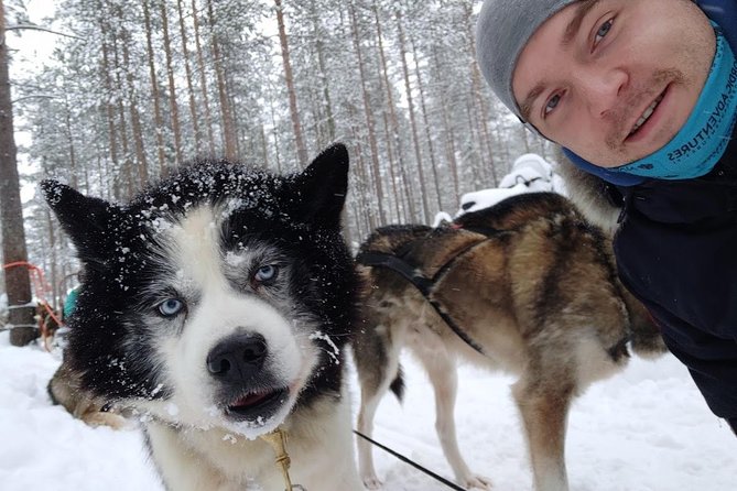 Santa Claus Village Guided Tour & Arctic Animals Adventure - The 500-meter reindeer ride is short but distinctive