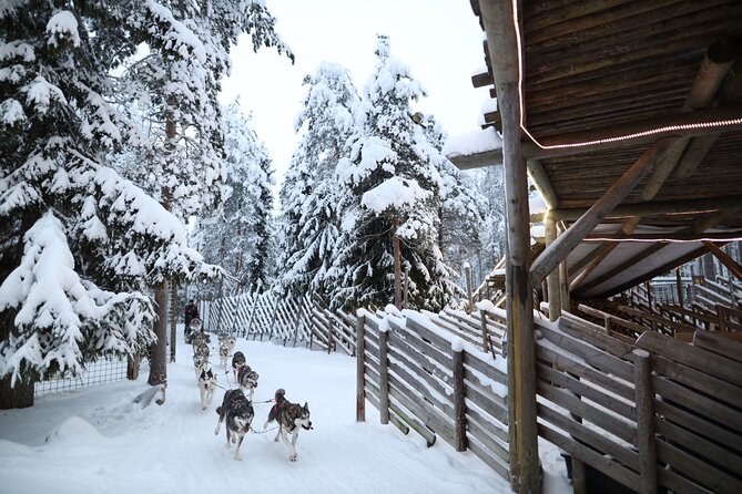 Santa Claus Village, Husky and Reindeers Combo Safari - Key points to know before booking