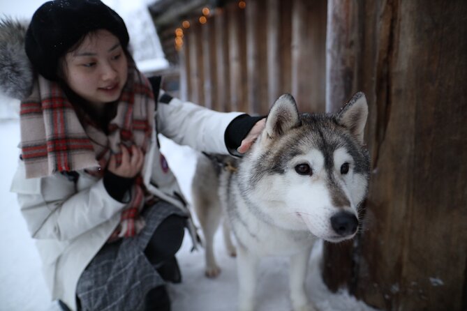 Santa Claus Village, Husky and Reindeers Combo Safari - How much time do you actually get?