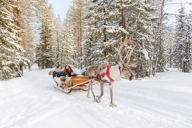 Santa's Reindeer & Husky Safari + Aurora BBQ in Rovaniemi - The long afternoon gap can work for you
