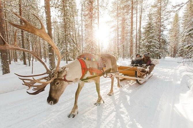 Santa's Reindeer & Husky Safari + Aurora BBQ in Rovaniemi - Berry tea, sausages, and a traditional kota