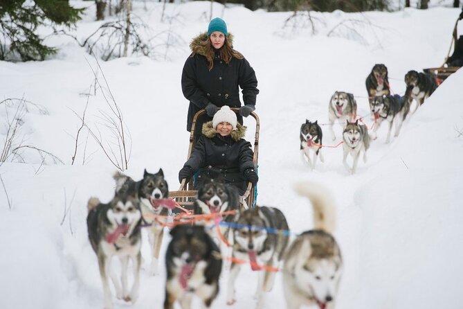 Santa's Reindeer & Husky Safari + Aurora BBQ in Rovaniemi - Guides can shape the whole day