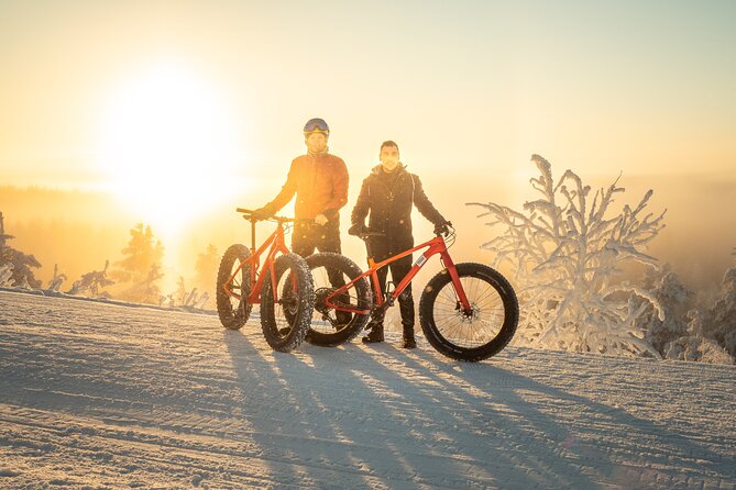 Scenic electric fat bike group ride in Rovaniemi - Key points to know before booking