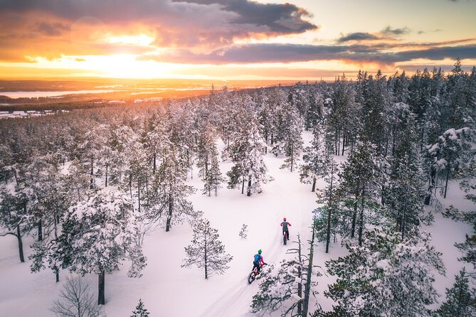 Scenic electric fat bike group ride in Rovaniemi - Riding the Ounasvaara winter trails
