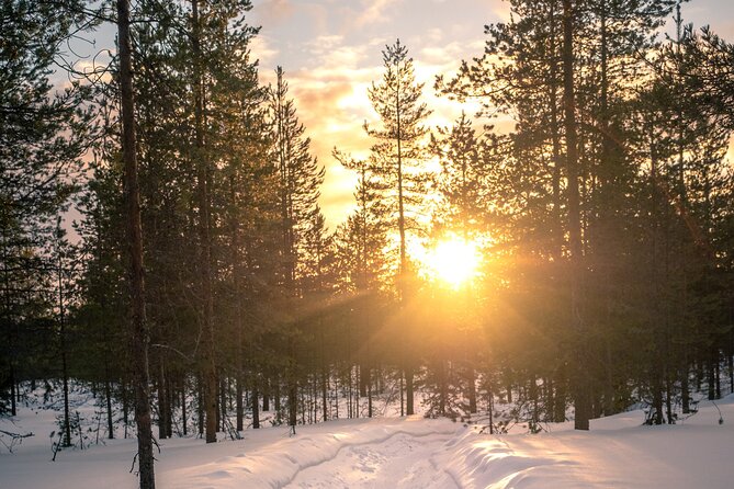 Scenic electric fat bike group ride in Rovaniemi - Reaching Tottorakka lift station for the big view