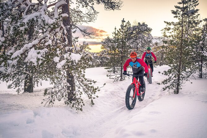 Scenic electric fat bike group ride in Rovaniemi - The return is where confident riders can have fun