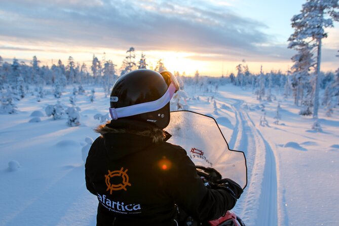 Scenic Snowmobile Safari in Saariselkä - Group size, pace, and the beginner question