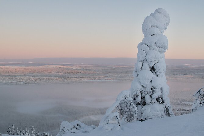 Scenic Snowshoeing on the Top of Pyhä Fell - Taking the PyhäExpress above the winter forest