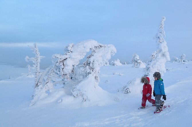 Scenic Snowshoeing on the Top of Pyhä Fell - A playful forest descent and a gentle sense of adventure