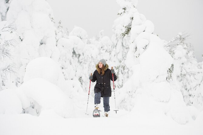 Scenic Snowshoeing on the Top of Pyhä Fell - What $128.84 buys you