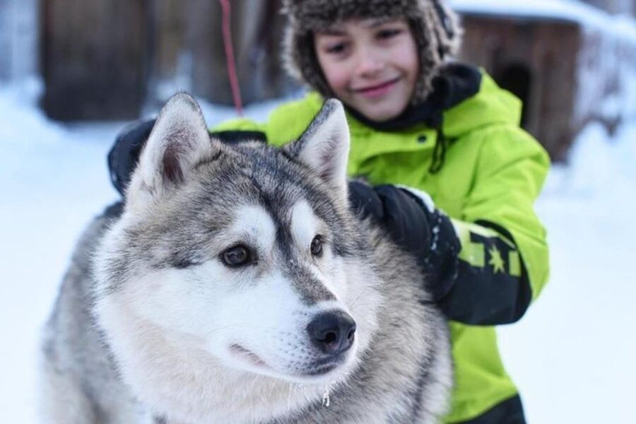 Sirkka: Husky Sled Ride in Levi 2km or 5 km from Levi - What happens when snow is thin