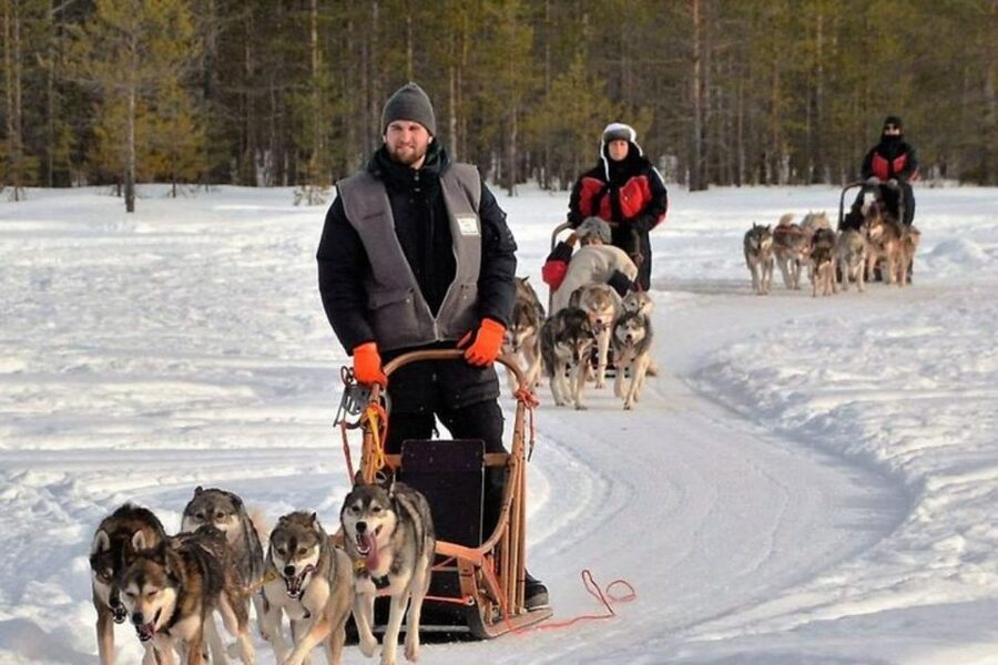 Sirkka: Husky Sled Ride in Levi 2km or 5 km from Levi - The warmest part of the visit comes afterward