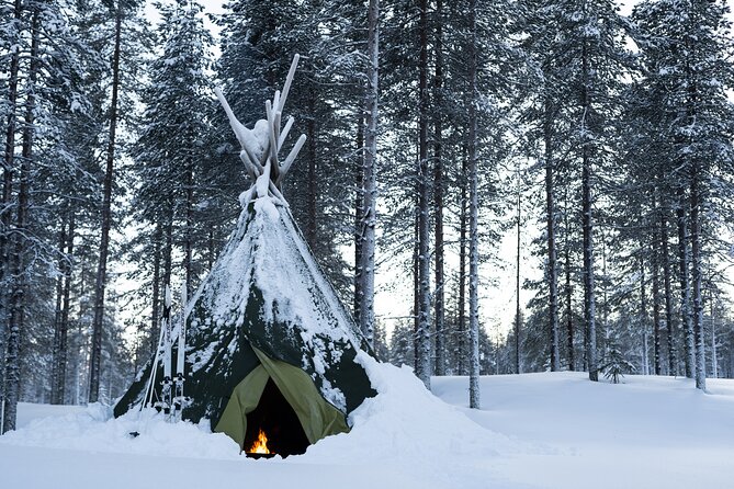 Ski Trek to the Wilderness - Extra Small group - Forests, frozen lakes, and snowy swamps