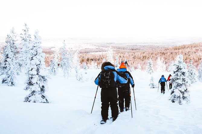 Ski Trekking Safari in Lapland - Is $131.32 a fair price?