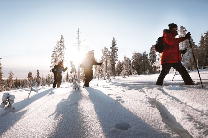 Ski Trekking Safari in Lapland - Learning to use backcountry skis in fresh snow