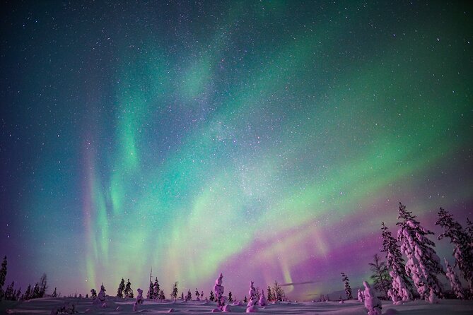 Ski Trekking under the Northern Lights - Ninety minutes in the dark forest